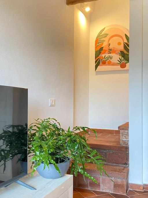 Relax&Business Wi-Fi, Tv Hd, Parcheggio Gratuito Villa Capannori Dış mekan fotoğraf